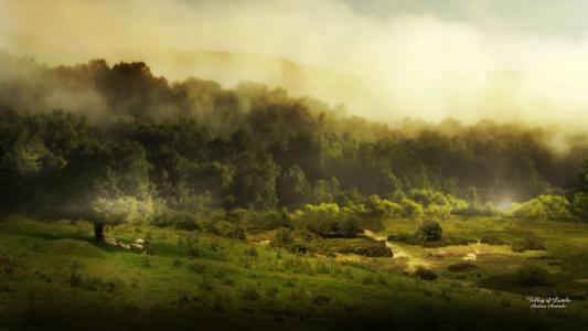 绿色的山谷，绵羊，阴霾