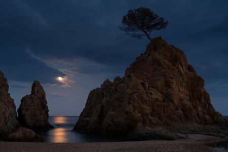 托萨德马尔，布拉瓦海岸，西班牙，晚上，月亮，月光，岩石，海，海滩，树，景观，自然