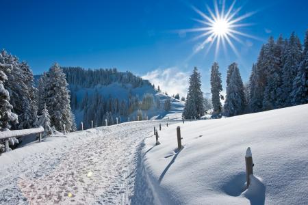 冬天，雪，自然，snowdrifts，丘陵，树木，松树，雪覆盖，路，太阳，天空