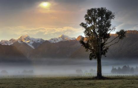 山，雾，树，早晨，日出，景观，性质