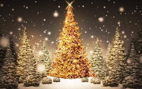 新的一年，假期，雪，灯，圣诞节，毛皮树