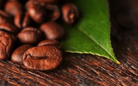 咖啡豆，叶子