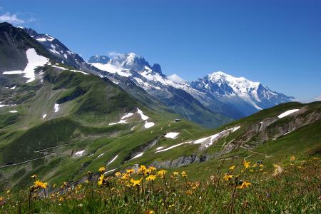 阿尔卑斯山，阿尔卑斯山，鲜花，山脉，山峰