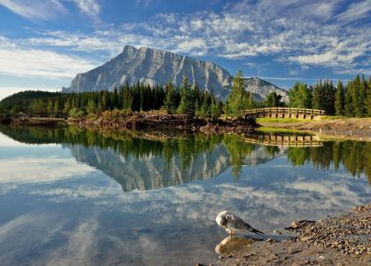 景观，自然，山，湖，反思，桥，鸽子，山Rundle，艾伯塔省，加拿大
