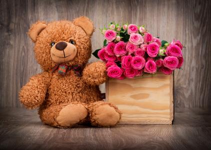 玫瑰，篮子，花束，熊，泰迪