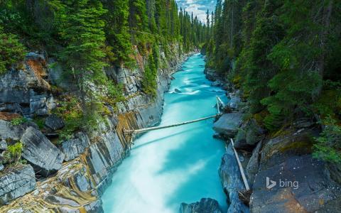 国家公园，不列颠哥伦比亚省，不列颠哥伦比亚省，加拿大，努马瀑布，河流，岩石，森林