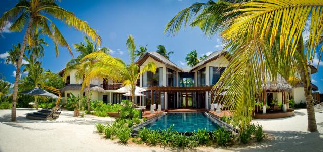 游泳池，异域风情，马尔代夫，棕榈树，别墅