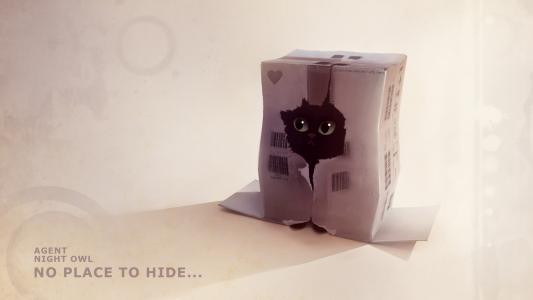 小猫，盒子，洞，皮革，文本