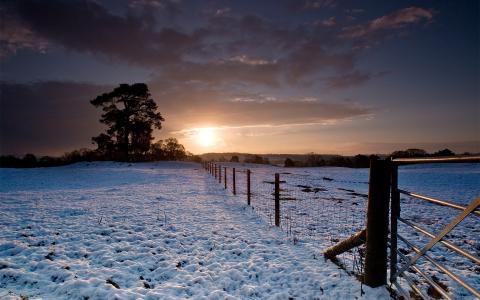 日落，冬天，篱笆