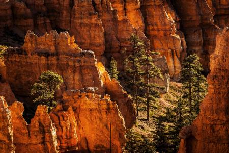 山，悬崖，美国，yutas，国家公园brice峡谷，bryce峡谷国家公园