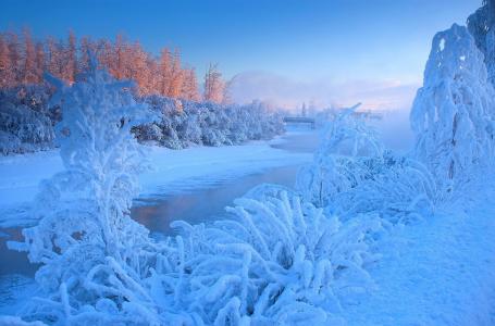 冬天，黎明，河流，树木，景观