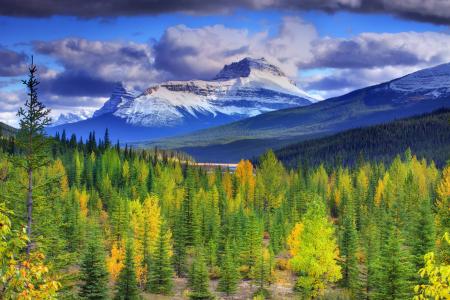 班夫国家公园，秋天，加拿大，加拿大，阿尔伯塔