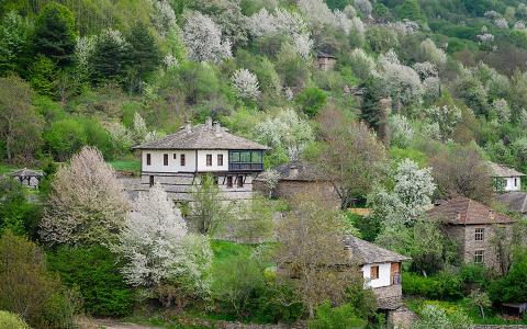 Kovachevitsa，保加利亚，Rodopi，村，房屋，山，树，森林，自然，景观，草，开花，春天