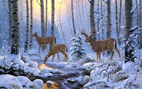Derk Hansen，鹿，冬天，森林，雪，溪流，树木，艺术