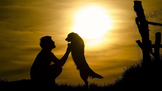 心情，家伙，狗，朋友，太阳，日落，剪影