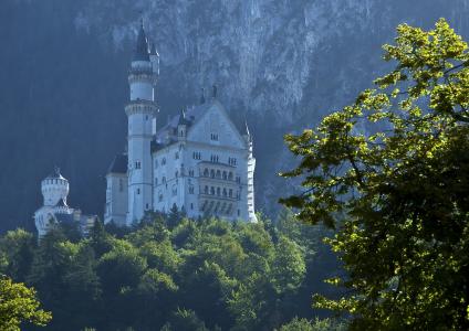 新天鹅堡，德国巴伐利亚州，新天鹅堡，巴伐利亚，德国，城堡，森林，树木