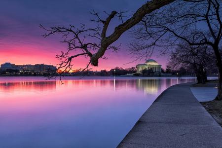 公园，蓝色，华盛顿，美国，灯，树，紫色，河，晚上