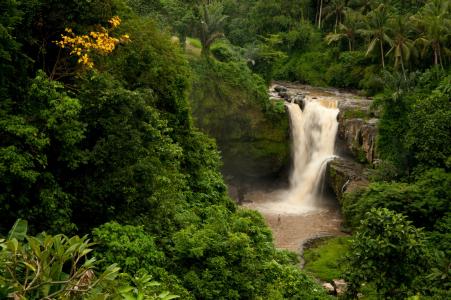 Tegenungan瀑布，巴厘岛，印度尼西亚，巴厘岛，印度尼西亚，瀑布，森林，棕榈，岩石