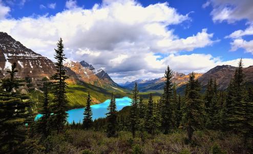 Peyto湖和加拿大山景，пейзаж