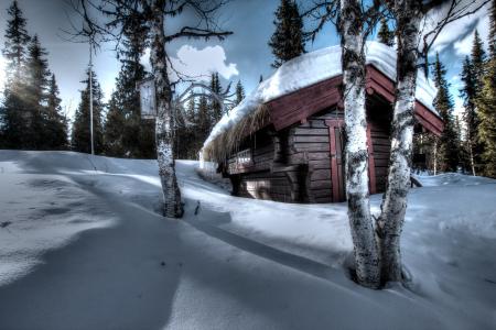 冬天，树木，雪堆，房子，景观