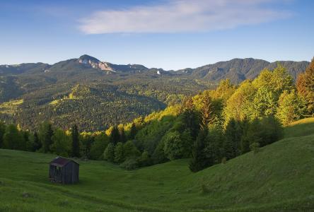 罗马尼亚，丘陵，树木，小房子，景观