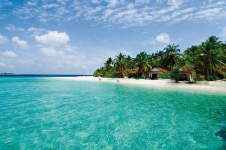 马尔代夫，岛，海，棕榈树，沙滩，景观
