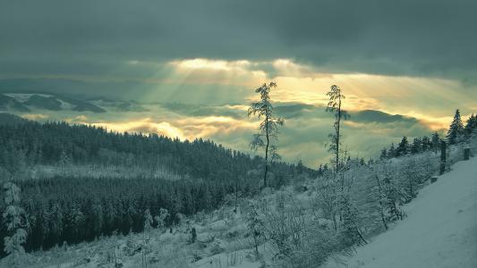 自然，景观，冬天，森林，太阳光线，山