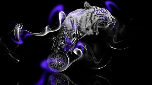 摩托车，摩托车，自行车，幻想，幻想，科幻小说，动物，老虎，烟，烟，紫罗兰色，霓虹灯