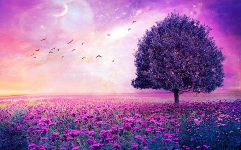 紫罗兰色，鸟，树