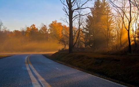 景观，秋季，早上，路