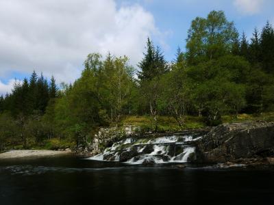 河Orchy，苏格兰，苏格兰，梯级，河流，森林，树木