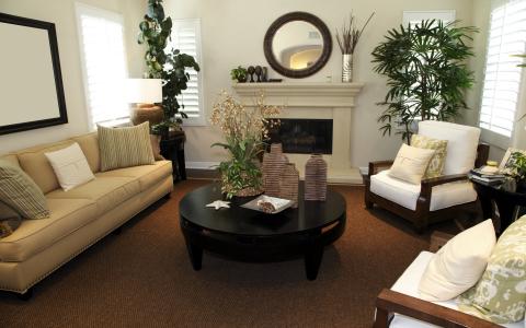 客厅，壁炉，茶几，植物