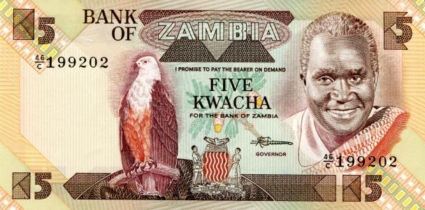 5 salochki尚比亚，钞票，账单