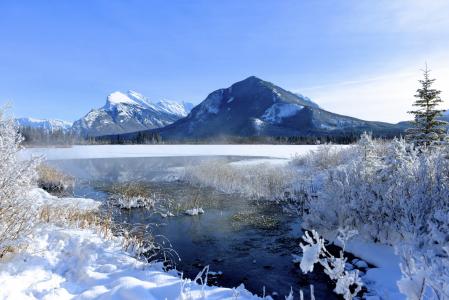 加拿大，山，班夫，雪，冬天