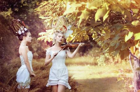 女孩，森林，小提琴