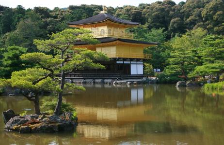 寺庙，日本，湖，河，池塘，森林