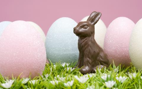 复活节野兔，巧克力，鸡蛋