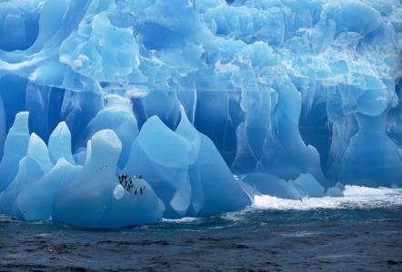 企鹅，海，冰川，冰