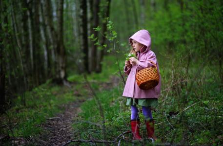 森林，路径，女孩，菌丝体，篮子，靴子，夹克，引擎盖