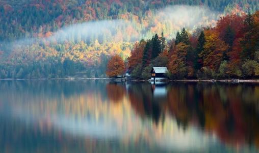 自然，森林，树木，房子，小屋，湖，水，反射，雾，景观，秋季