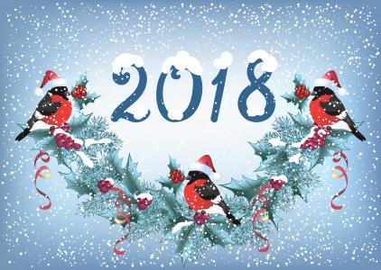 花环，2018年新年，假期，雪，山雀