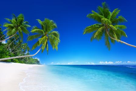 翡翠，海，棕榈，天堂，海滩，热带，海洋，蓝色，海岸