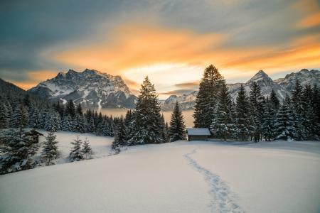 景观，自然，冬天，雪，日落，山，森林，云杉，蒂罗尔，奥地利