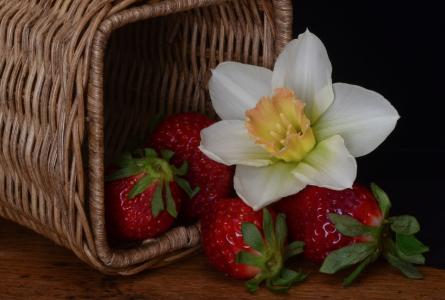 浆果，草莓，水仙，花卉，篮子