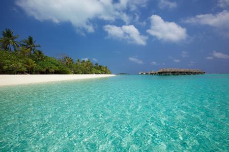 马尔代夫，热带，海滩，平房