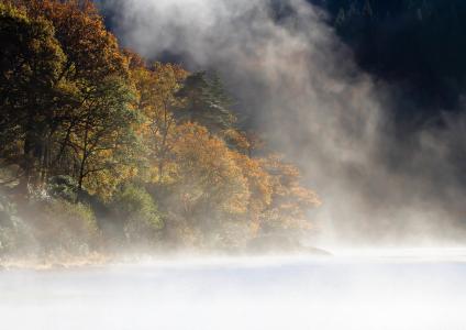 雾，山，森林，湖泊