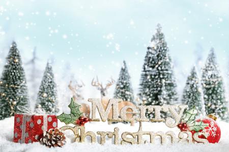 礼物，雪，圣诞树，雪花，新年，圣诞快乐