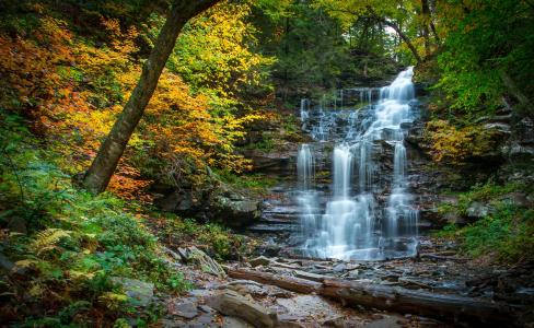 瀑布，瀑布，河，森林，秋天，石头，宾夕法尼亚州，宾夕法尼亚州里基茨格伦州立公园