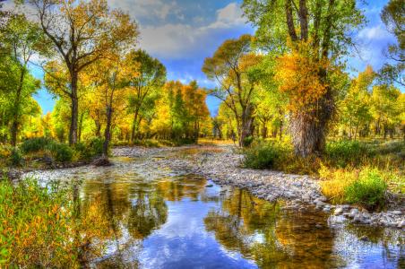 河，树，石头，秋天，景观，怀俄明州