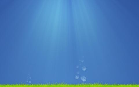 草，藻类，水，气泡，水下，光